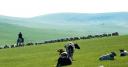 mongolija-bekrasciu-lauku-salis.jpg